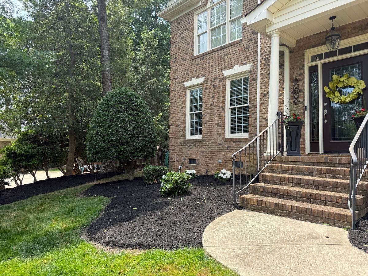 Fresh dark mulch in a bed with a clean cut edge beside a brick home.